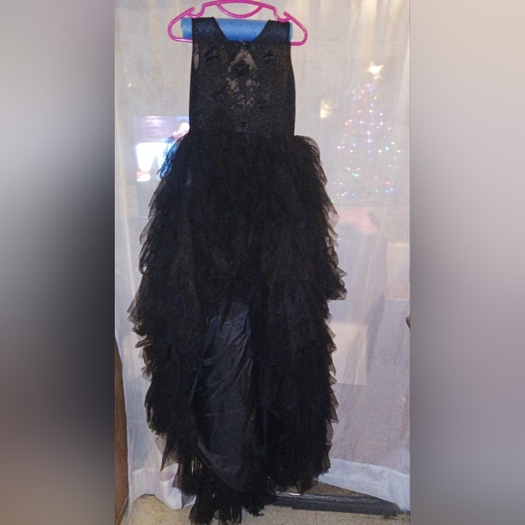 Women Tulle Lace Mesh Gown/dress - Picture 2 of 10